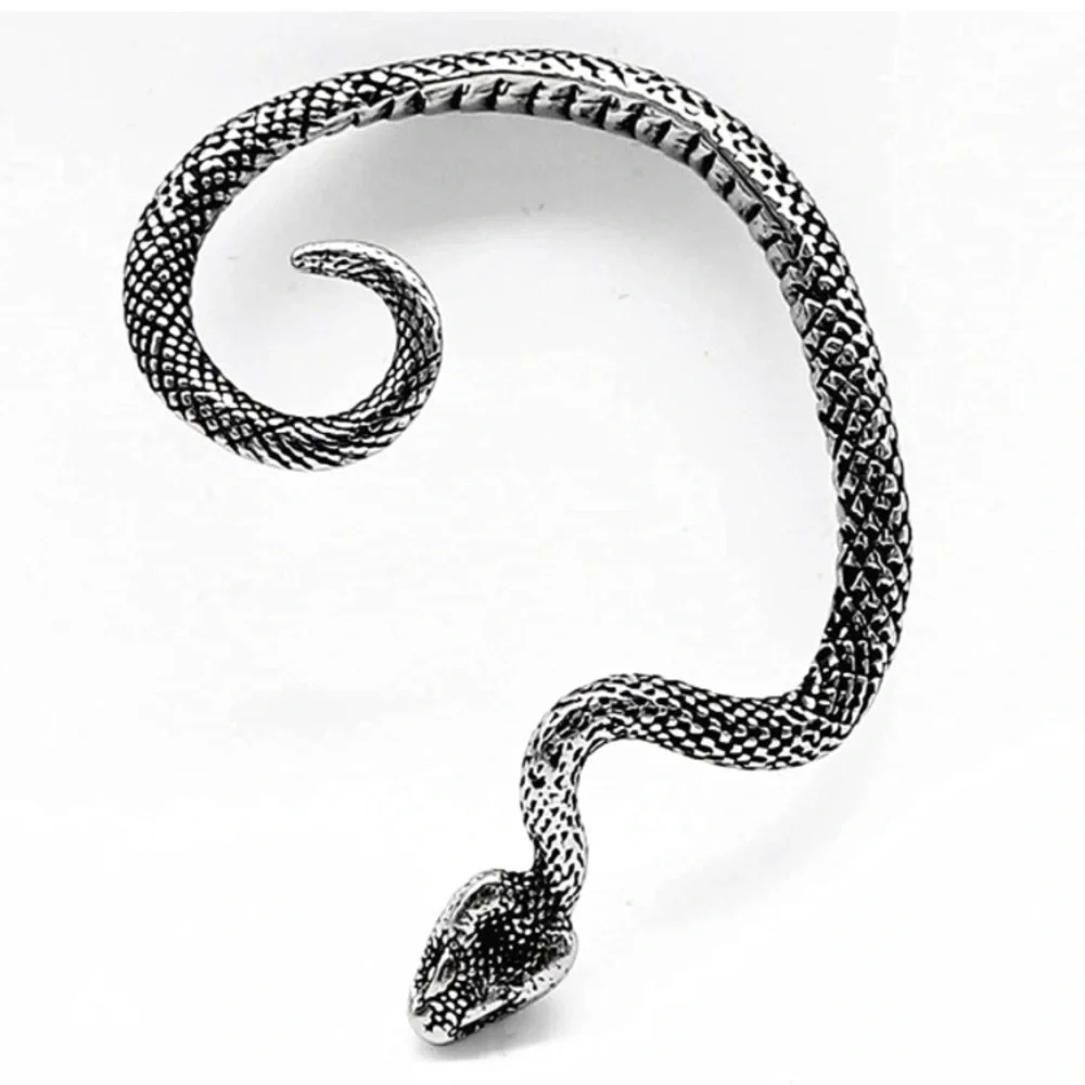 Retro Snake Earrings